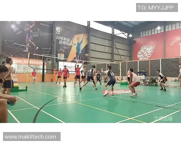 武汉排球队在精英赛中的个人能力分析与表现评估